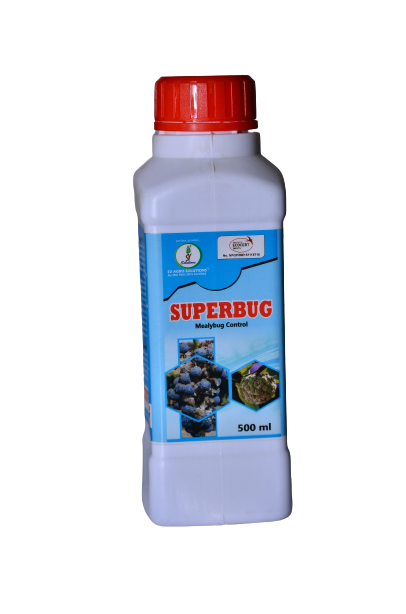 Superbug